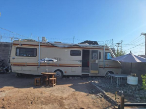 Camp Site
